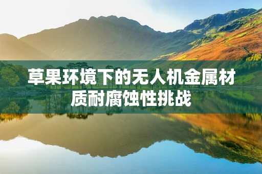 草果环境下的无人机金属材质耐腐蚀性挑战