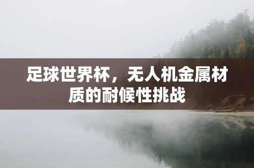足球世界杯，无人机金属材质的耐候性挑战