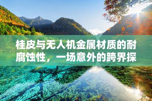 桂皮与无人机金属材质的耐腐蚀性，一场意外的跨界探讨