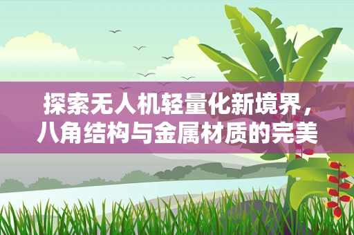 探索无人机轻量化新境界，八角结构与金属材质的完美融合