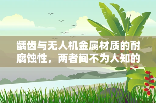 龋齿与无人机金属材质的耐腐蚀性，两者间不为人知的联系？