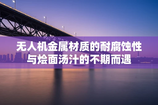 无人机金属材质的耐腐蚀性与烩面汤汁的不期而遇