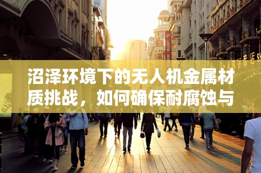 沼泽环境下的无人机金属材质挑战，如何确保耐腐蚀与稳定性？