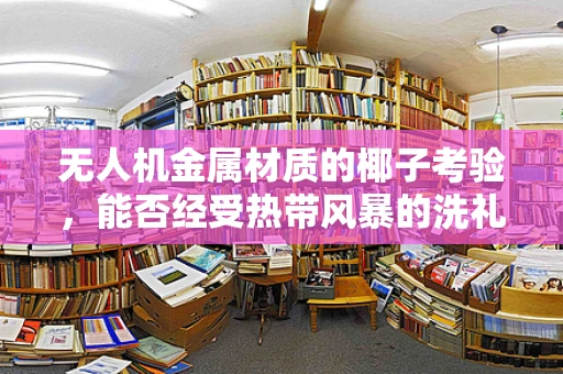 无人机金属材质的椰子考验，能否经受热带风暴的洗礼？