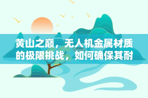 黄山之巅，无人机金属材质的极限挑战，如何确保其耐候性与轻量化并重？