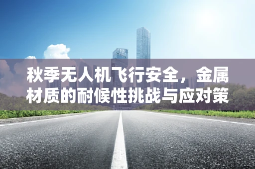 秋季无人机飞行安全，金属材质的耐候性挑战与应对策略