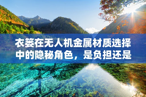 衣篓在无人机金属材质选择中的隐秘角色，是负担还是助力？