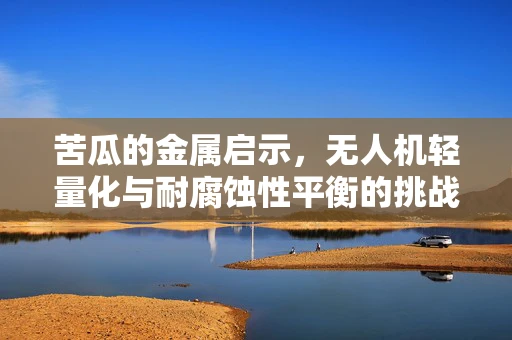 苦瓜的金属启示，无人机轻量化与耐腐蚀性平衡的挑战
