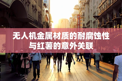 无人机金属材质的耐腐蚀性与红薯的意外关联