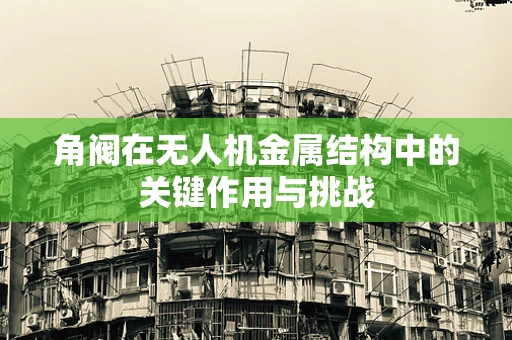 角阀在无人机金属结构中的关键作用与挑战