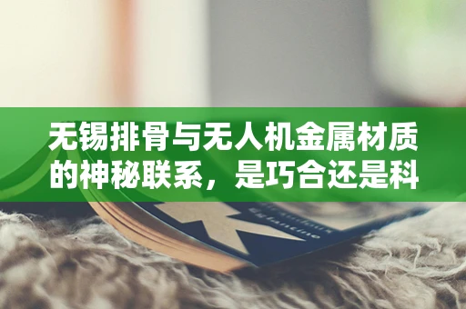 无锡排骨与无人机金属材质的神秘联系，是巧合还是科技灵感？
