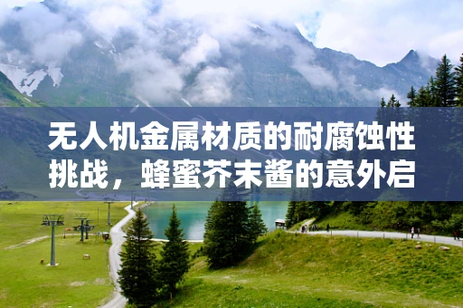 无人机金属材质的耐腐蚀性挑战，蜂蜜芥末酱的意外启示
