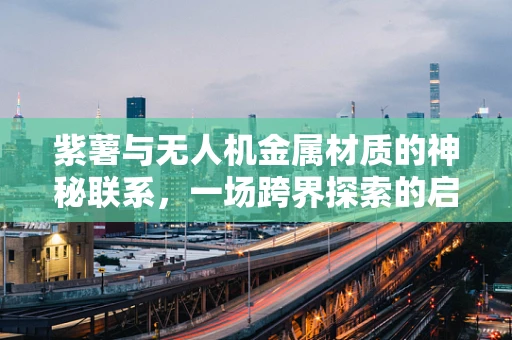 紫薯与无人机金属材质的神秘联系，一场跨界探索的启航