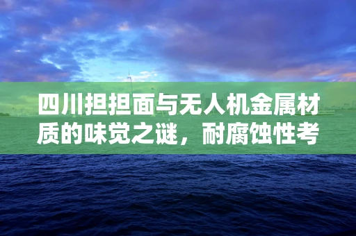 四川担担面与无人机金属材质的味觉之谜，耐腐蚀性考验