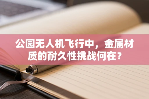 公园无人机飞行中，金属材质的耐久性挑战何在？