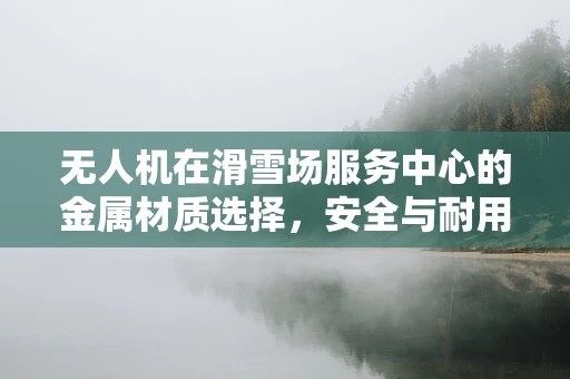 无人机在滑雪场服务中心的金属材质选择，安全与耐用的平衡？