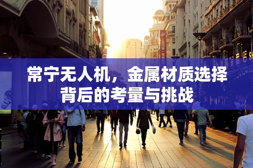 常宁无人机，金属材质选择背后的考量与挑战