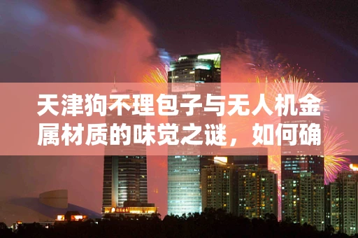 天津狗不理包子与无人机金属材质的味觉之谜，如何确保飞行中的口感不变？