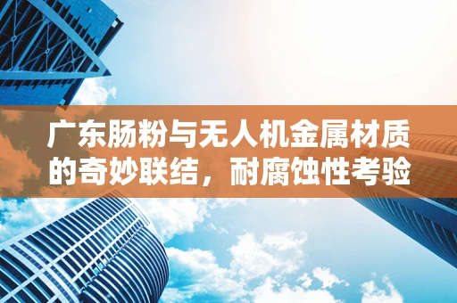 广东肠粉与无人机金属材质的奇妙联结，耐腐蚀性考验