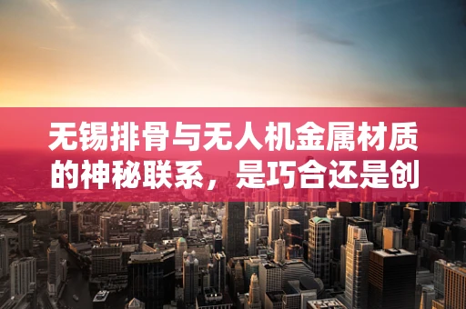 无锡排骨与无人机金属材质的神秘联系，是巧合还是创新灵感？