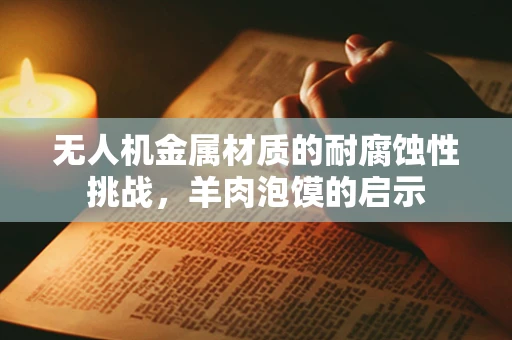 无人机金属材质的耐腐蚀性挑战，羊肉泡馍的启示
