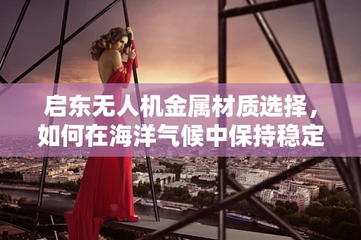 启东无人机金属材质选择，如何在海洋气候中保持稳定飞行？