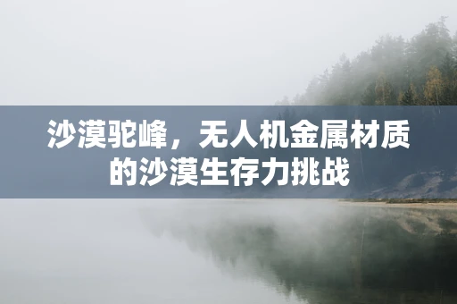 沙漠驼峰，无人机金属材质的沙漠生存力挑战