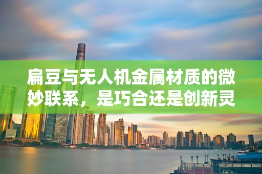 扁豆与无人机金属材质的微妙联系，是巧合还是创新灵感？