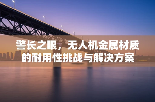 警长之眼，无人机金属材质的耐用性挑战与解决方案