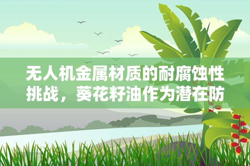 无人机金属材质的耐腐蚀性挑战，葵花籽油作为潜在防护剂的应用探索？