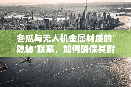 冬瓜与无人机金属材质的‘隐秘’联系，如何确保其耐腐蚀性？