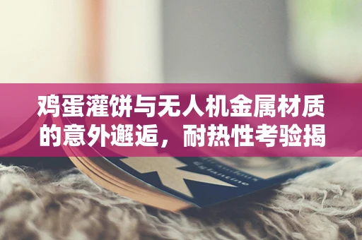 鸡蛋灌饼与无人机金属材质的意外邂逅，耐热性考验揭秘