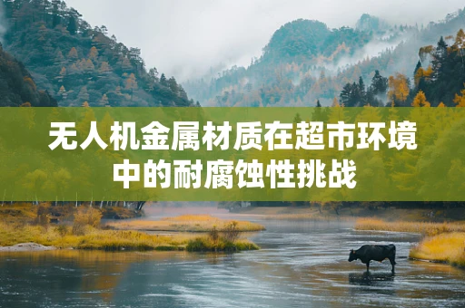 无人机金属材质在超市环境中的耐腐蚀性挑战