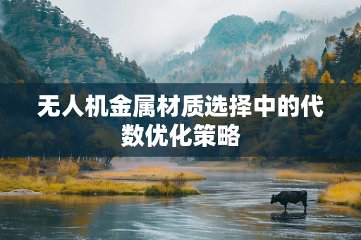 无人机金属材质选择中的代数优化策略