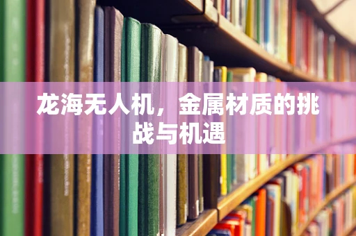 龙海无人机，金属材质的挑战与机遇