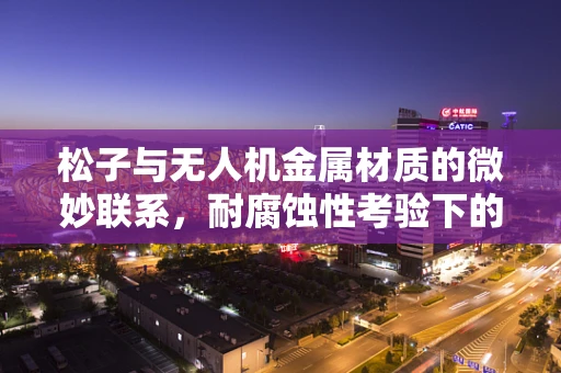 松子与无人机金属材质的微妙联系，耐腐蚀性考验下的隐形守护者