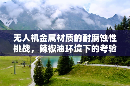 无人机金属材质的耐腐蚀性挑战，辣椒油环境下的考验