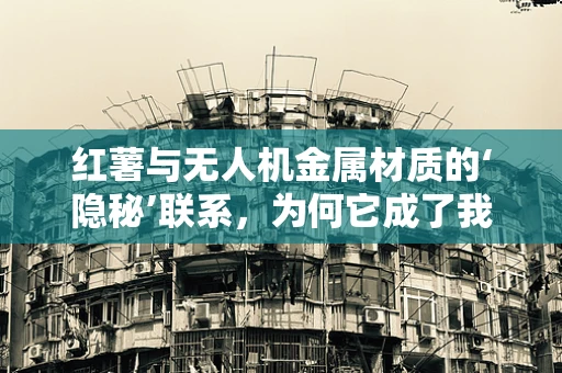 红薯与无人机金属材质的‘隐秘’联系，为何它成了我们测试的意外之选？