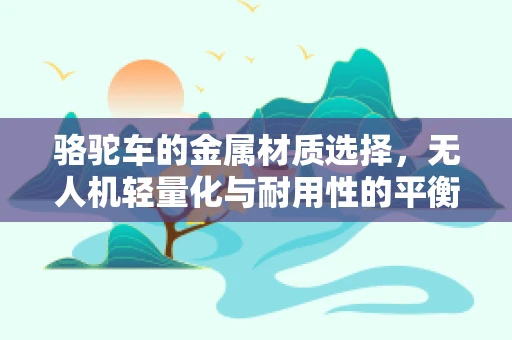 骆驼车的金属材质选择，无人机轻量化与耐用性的平衡挑战
