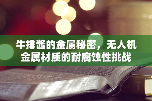 牛排酱的金属秘密，无人机金属材质的耐腐蚀性挑战