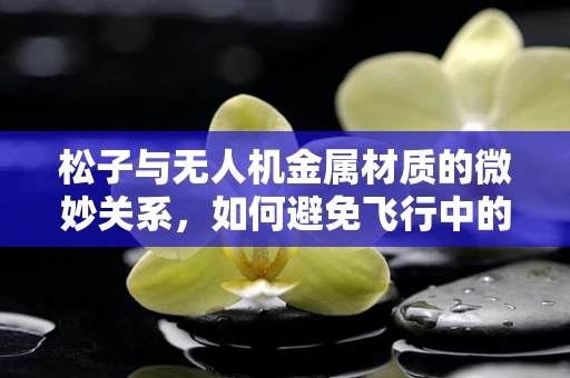 松子与无人机金属材质的微妙关系，如何避免飞行中的‘意外开壳’？