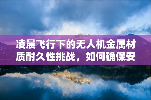 凌晨飞行下的无人机金属材质耐久性挑战，如何确保安全无虞？