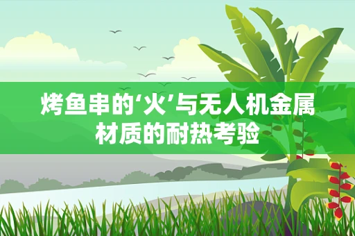 烤鱼串的‘火’与无人机金属材质的耐热考验