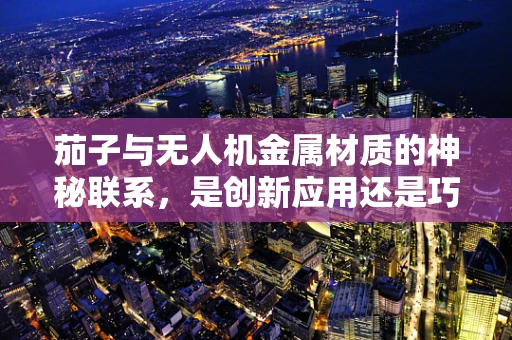 茄子与无人机金属材质的神秘联系，是创新应用还是巧合？
