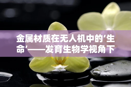 金属材质在无人机中的‘生命’——发育生物学视角下的创新应用