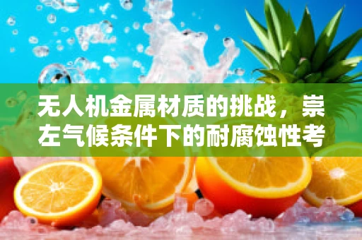 无人机金属材质的挑战，崇左气候条件下的耐腐蚀性考验