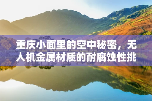 重庆小面里的空中秘密，无人机金属材质的耐腐蚀性挑战