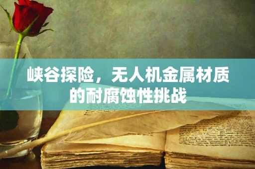 峡谷探险，无人机金属材质的耐腐蚀性挑战