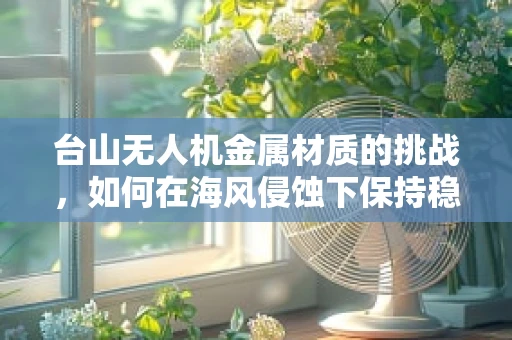 台山无人机金属材质的挑战，如何在海风侵蚀下保持稳定？
