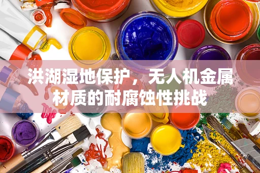 洪湖湿地保护，无人机金属材质的耐腐蚀性挑战